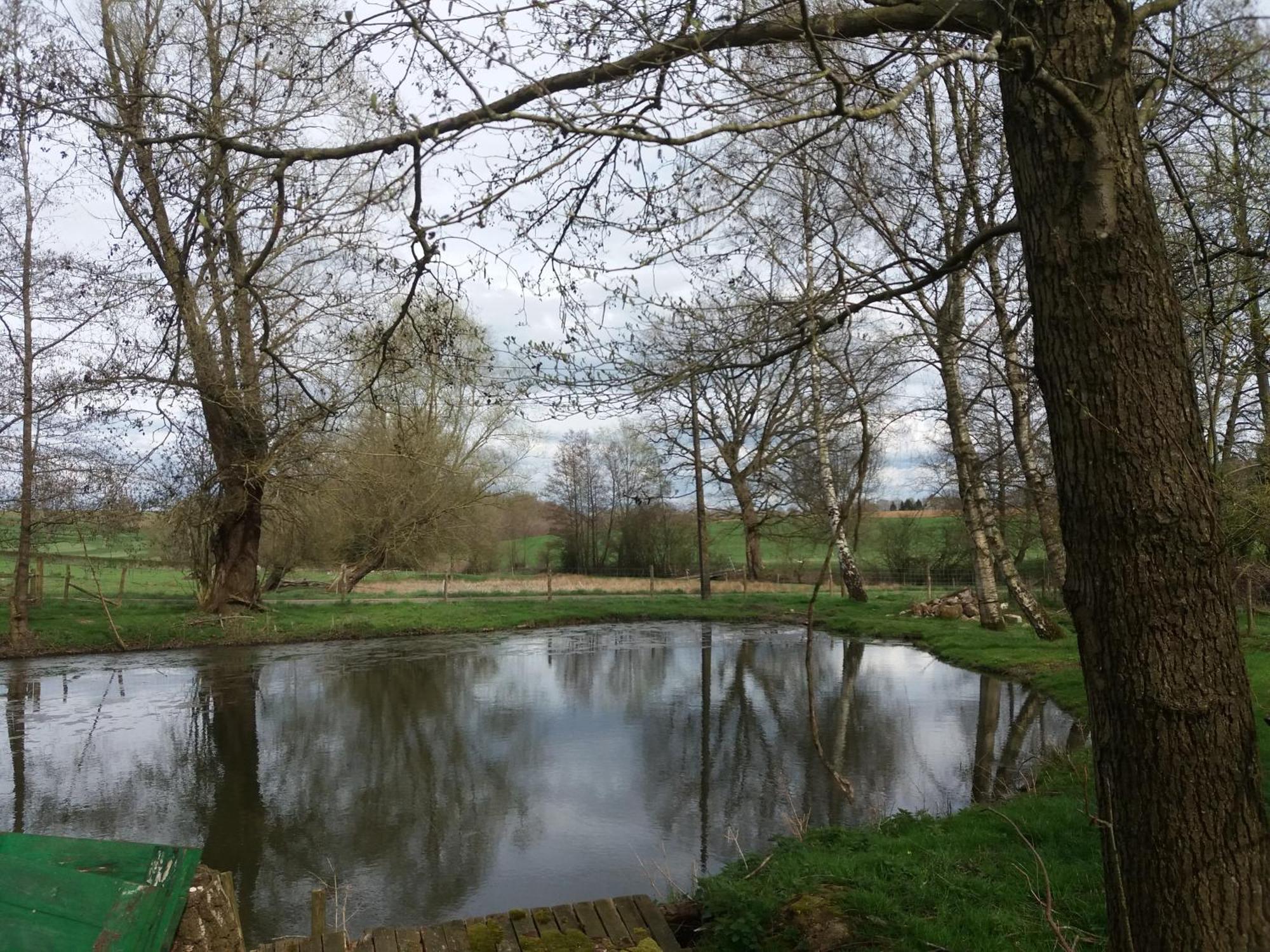 Le Sentier Des Etangs Leilighet Barsy Eksteriør bilde